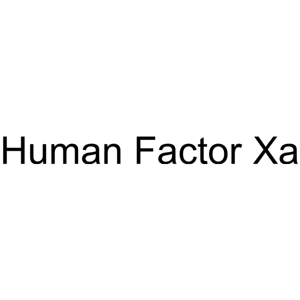Human Factor Xa
